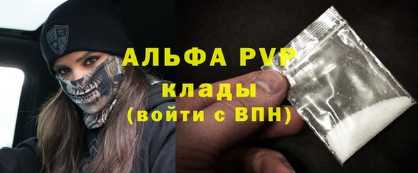 стаф Алексин
