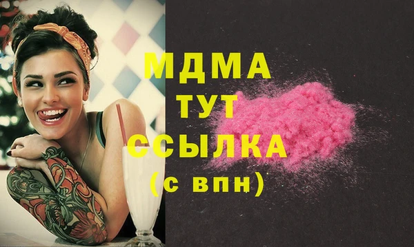 стаф Алексин