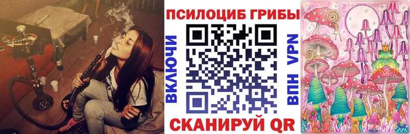 где купить наркотик  Коркино  Псилоцибиновые грибы мицелий 
